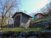 CANTO ALTO in direttissima la prima volta per sentieri insoliti da sopra casa-Zogno (8apr21) - FOTOGALLERY